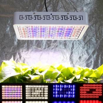 3000W viduje Auga Šviesos diodų (Led) Fito Lempa Vis Žydėjimo Vegs Reguliuojamas Spektro Laikmatis Phytolamp Augalams Augti Palapinė Led