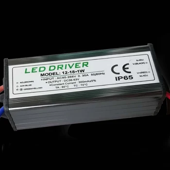 50W Led Driver Maitinimo Transformatorius Vandeniui IP65 LED Lustas Prožektorius 1pc
