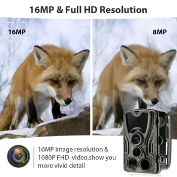 HC801A Medžioklės Camera 16MP 1080P IP65 Takas Kamera, Naktinio Matymo Miško Vandeniui Laukinės gamtos Kameros Foto Spąstus Kamera Chasse #SD