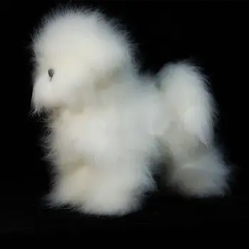 Modelis šunį viliojimo Praktikos Bichon manekenas nustatyti, 1 vnt Bichon manekenas su 1 vnt bichon kūno perukas