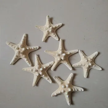 10vnt/daug Shell koralų Vidutinio amatų 4-7cm yangtz apdailos gamtos žvaigždė smėlio spalvos balta jūros žvaigždė vestuves AMATAI