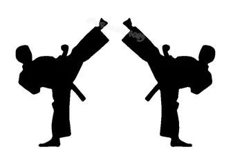Du berniukai, Karatė sporto Kick Siena Lipdukas Kovos Kikbokso Treniruotės Kovos Decal Berniukas Miegamasis Taekwondo studija Tapetai dz002