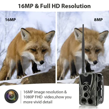 3G MMS SMTP el. Pašto Takas Kameros Korinio Mobiliojo Medžioklės Kameros 16MP 1080P HC801G Belaidžio Naktį Versija Laukinių gyvūnų Priežiūra