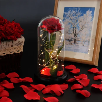 Dirbtinis Eternal Rose LED Šviesos Grožį Žvėrys Pakilo Stiklo danga Kalėdų, Valentino Dienos Dovana, naujieji Metai Apdaila