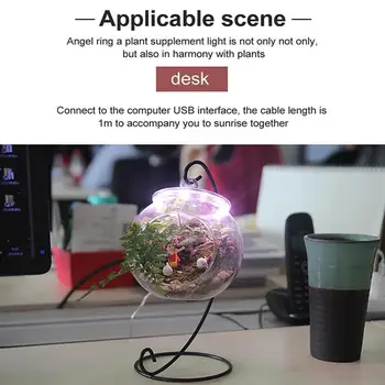 LED Grow Light Visą Spektrą Fito Augti Lempa USB Phytolamp Lempos Augalams Apšvietimo įrenginiai, įrenginiai Patalpų 5V Augimo Q4U2