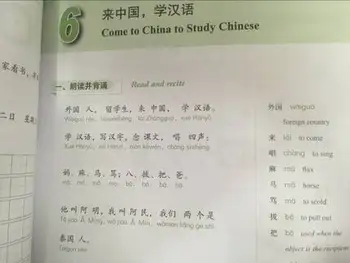 Besivystančių Kinijos Elementarių Skaitymo ir Rašymo Kursas I (su MP3) Mokytis Kinų simbolių knyga