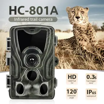 HC801A Medžioklės Camera 16MP 1080P IP65 Takas Kamera, Naktinio Matymo Miško Vandeniui Laukinės gamtos Kameros Foto Spąstus Kamera Chasse #SD