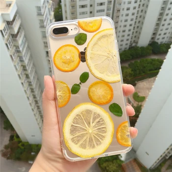 Minkštas Skaidrios Nekilnojamojo Orange Džiovinti Vaisiai ir Gėlės Telefono dėklas Skirtas iPhone 11 Pro XR X XS Max 7 8 6 6s SE2 Plius Galinį Dangtelį Anti-fal