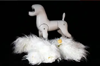 Modelis šunį viliojimo Praktikos Bichon manekenas nustatyti, 1 vnt Bichon manekenas su 1 vnt bichon kūno perukas